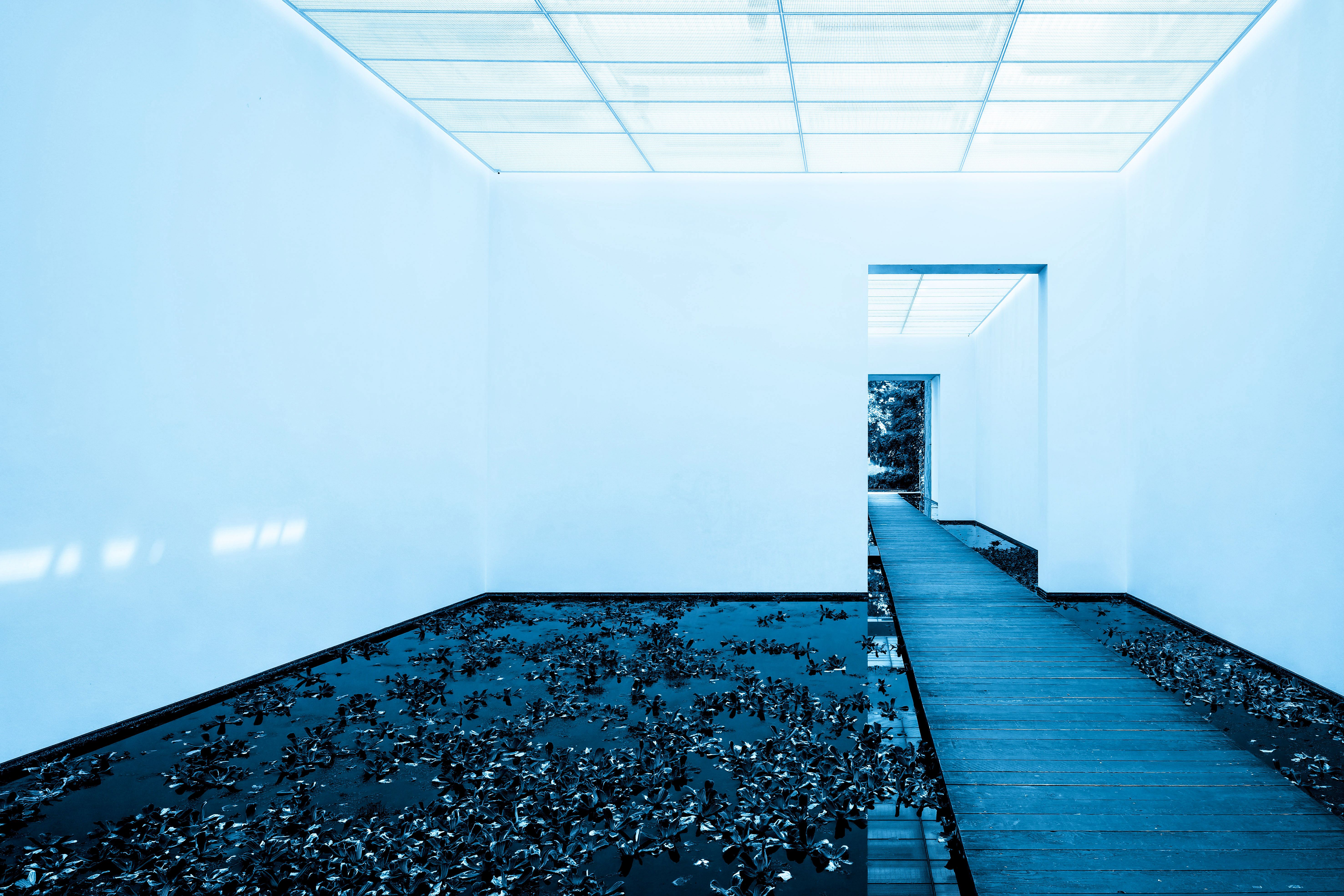 Fondation Beyeler I, Basel 2022