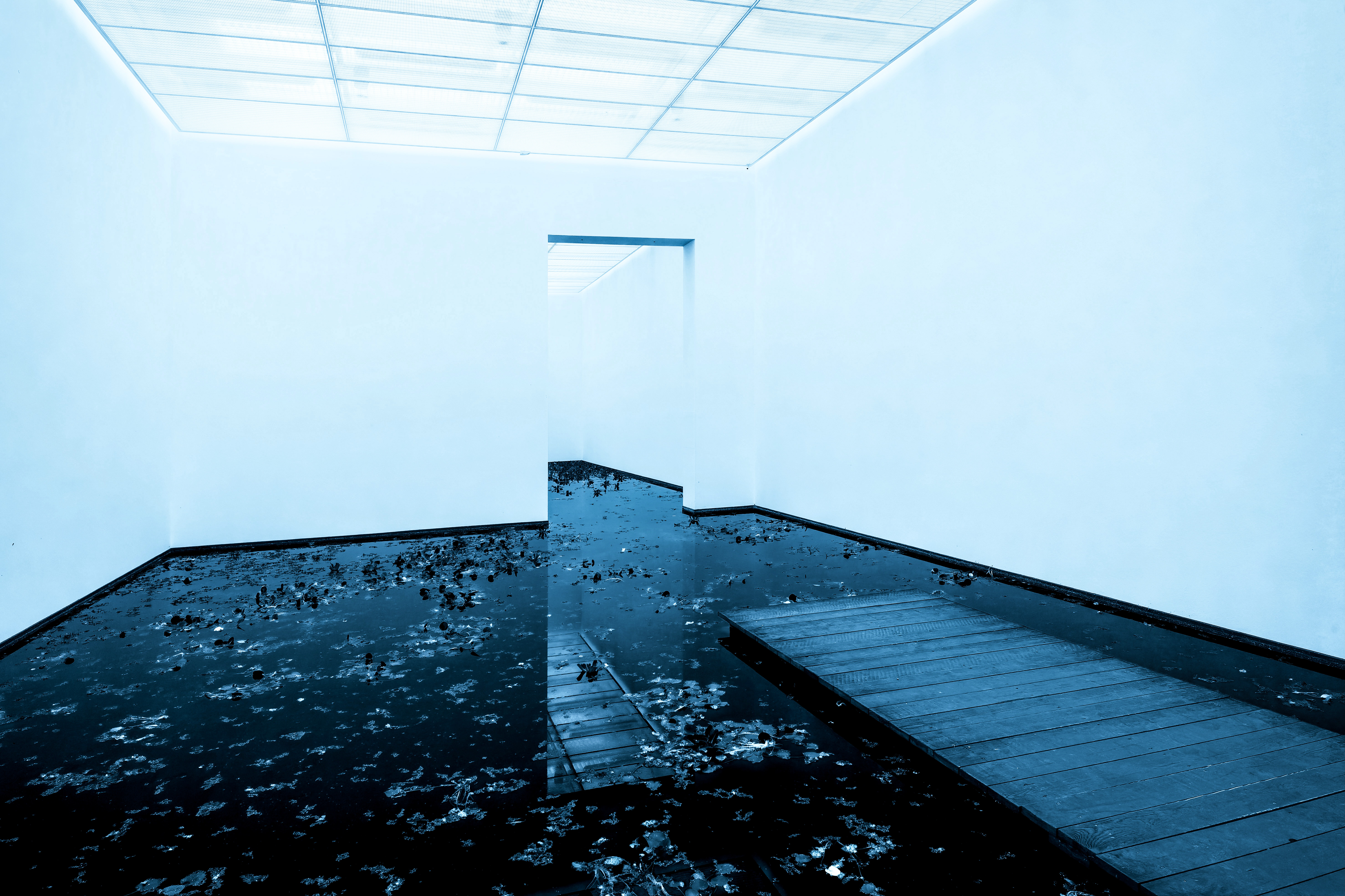 Fondation Beyeler II, Basel 2022