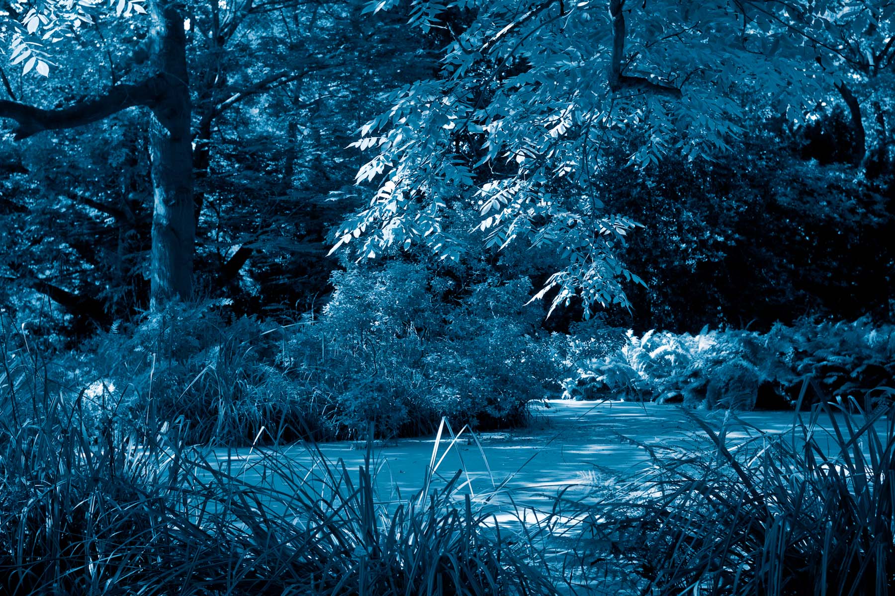 Berggarten I, Hannover 2008