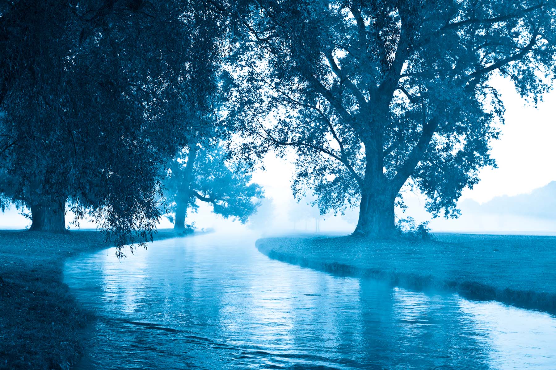 Englischer Garten I, München 2007