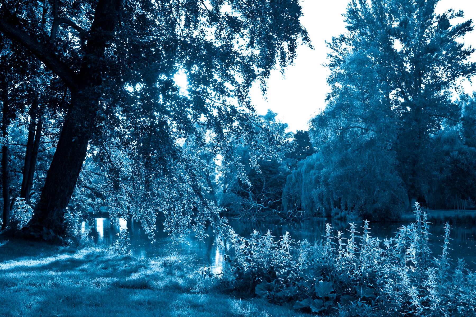 Georgengarten III, Hannover 2008