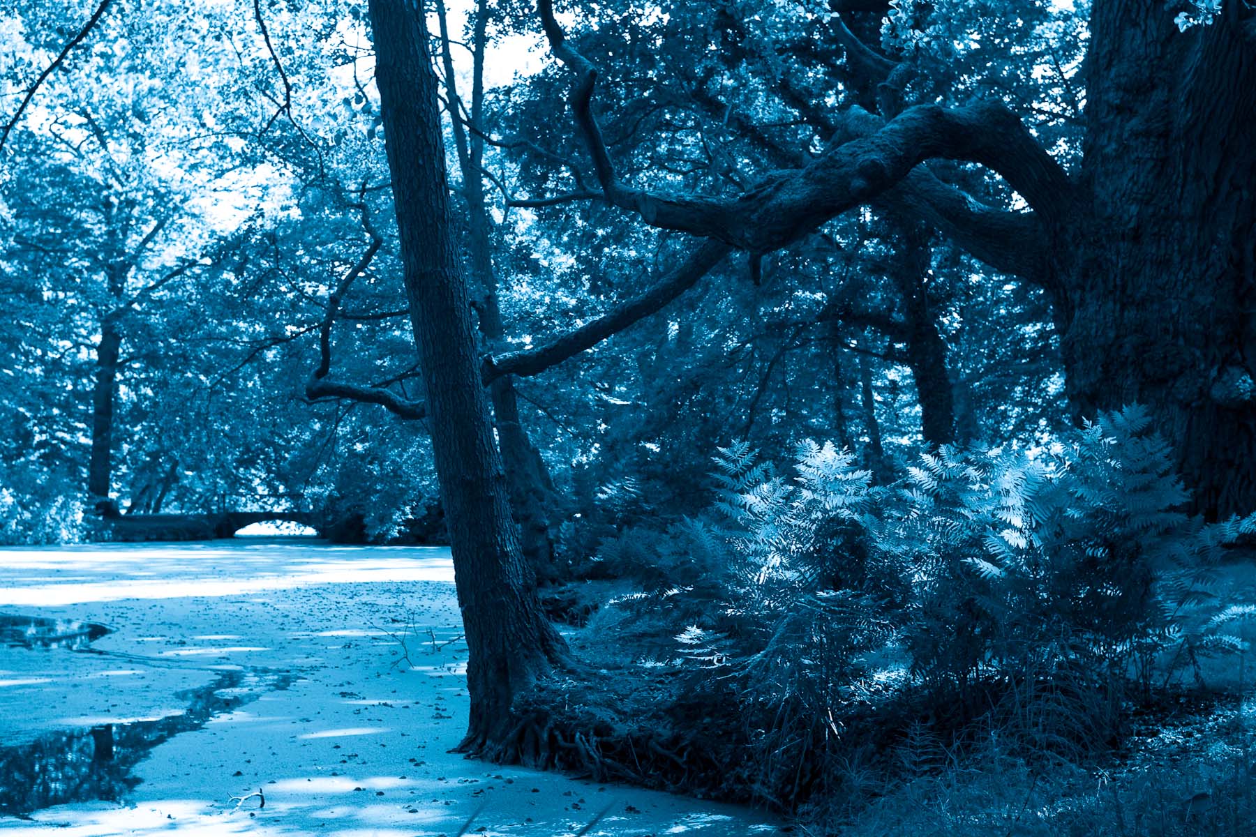 Ludwigslust III, 2008