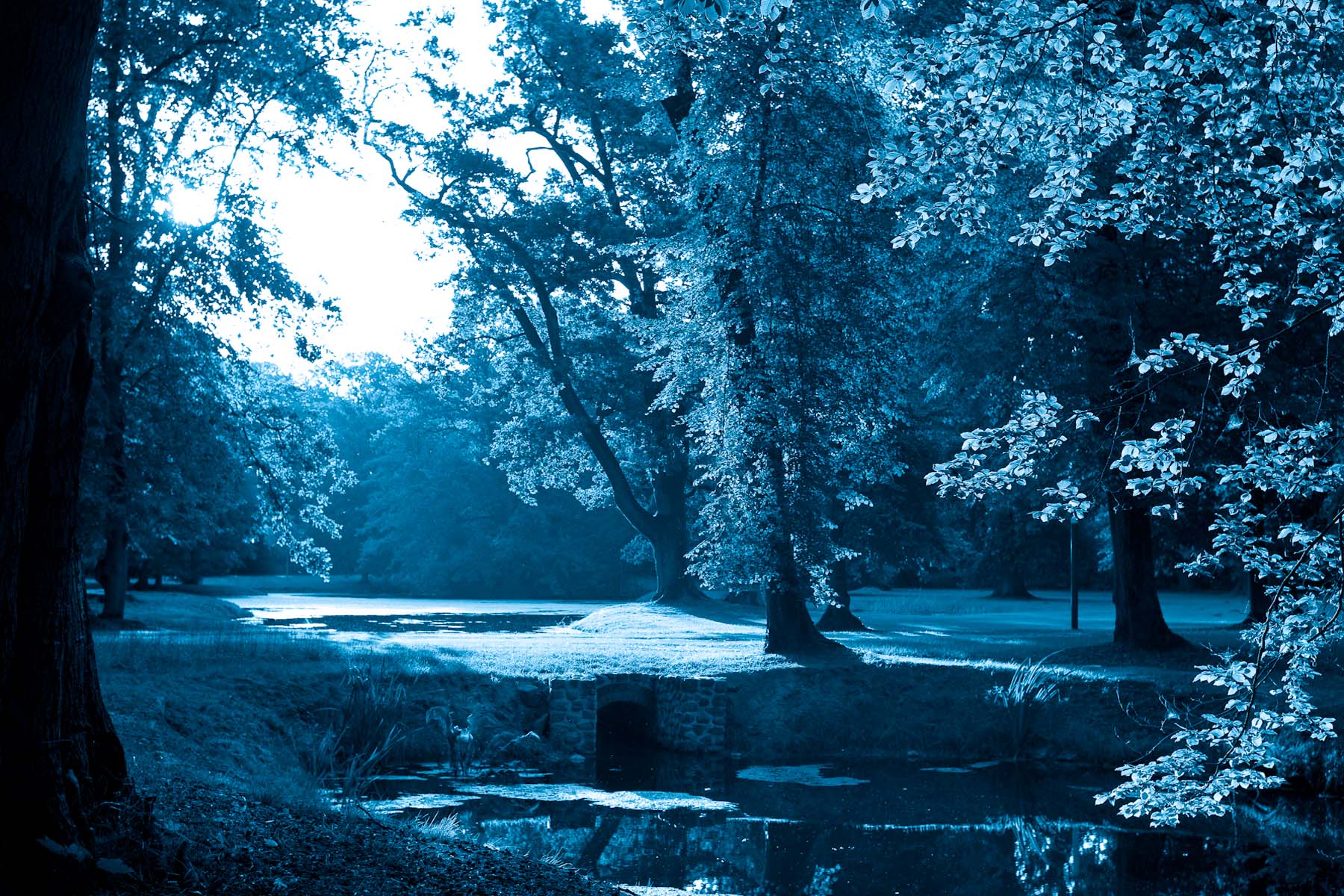 Ludwigslust II, 2008