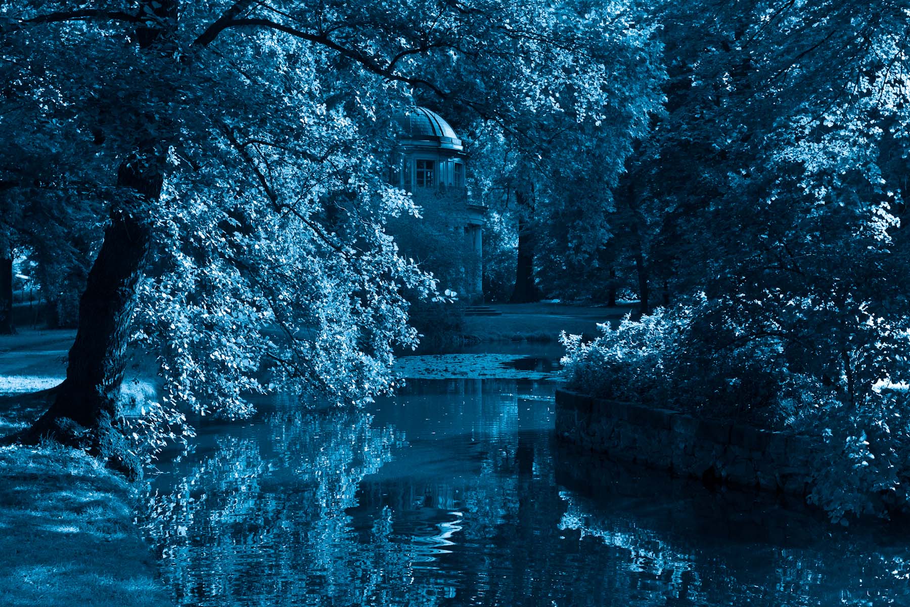 アート・デザイン・音楽 The Enchanted Landscape Photographs 1940 Wynn Bullock: The Enchanted Landscape Photographs 1940-1975